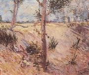 Vincent Van Gogh Trees in a Field on a Sunny Day (nn04) oil painting picture wholesale